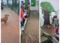 Enxurrada Invade Creche em Osasco e Deixa Crianças em Pânico; Chuvas Atingem SP com Alerta para Novos Temporais