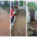 Enxurrada Invade Creche em Osasco e Deixa Crianças em Pânico; Chuvas Atingem SP com Alerta para Novos Temporais