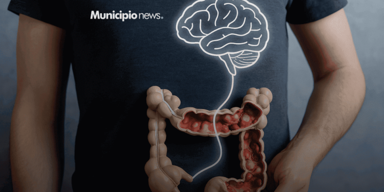 Seu Intestino Pensa Mais do Que Você Imagina — E Está Influenciando Sua Mente